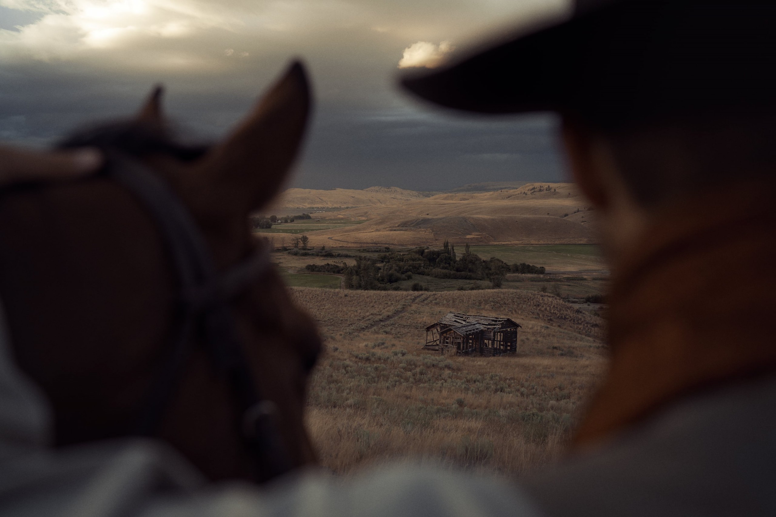 Friedemann Hertrampf Photography