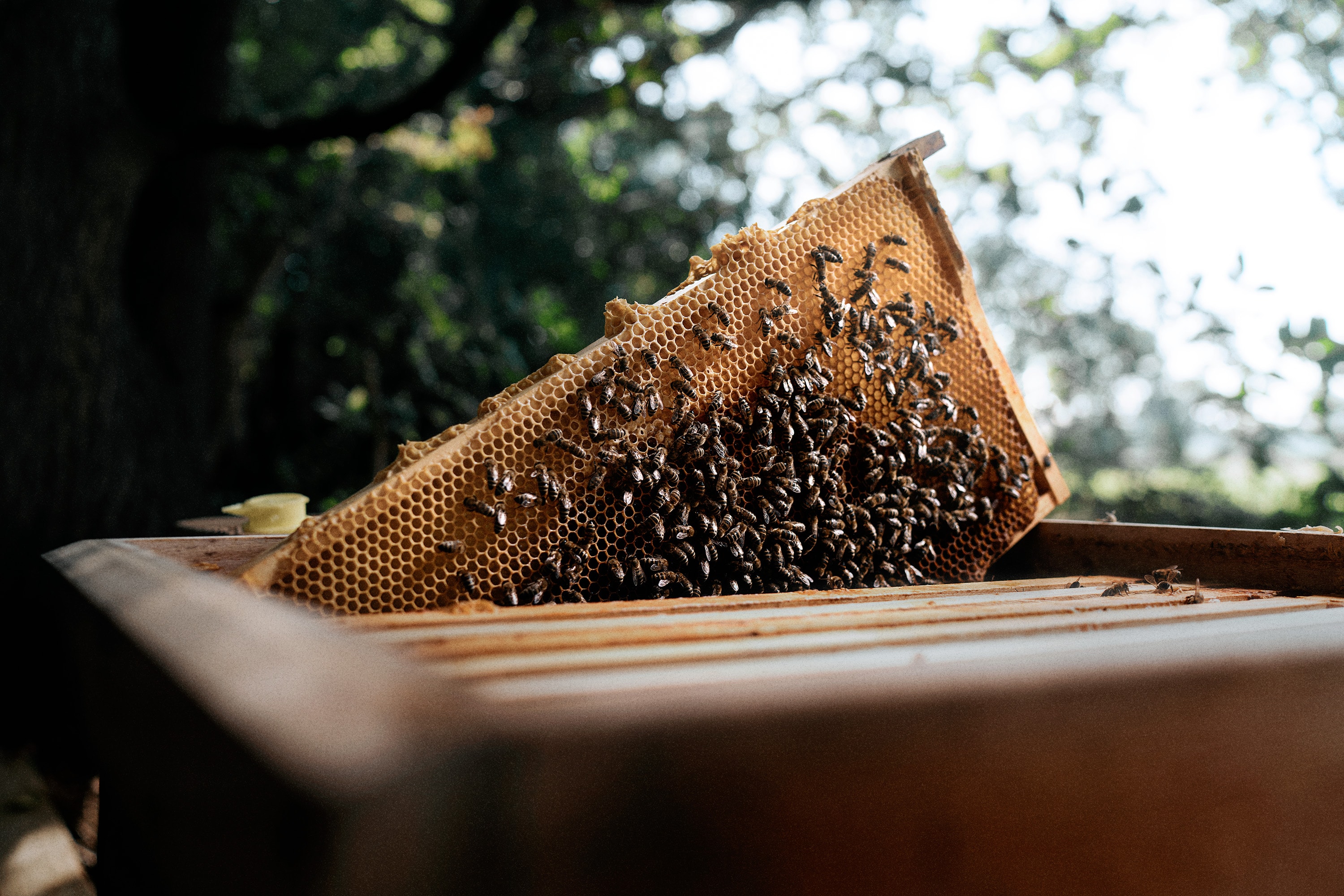 Friedemann Hertrampf Photography