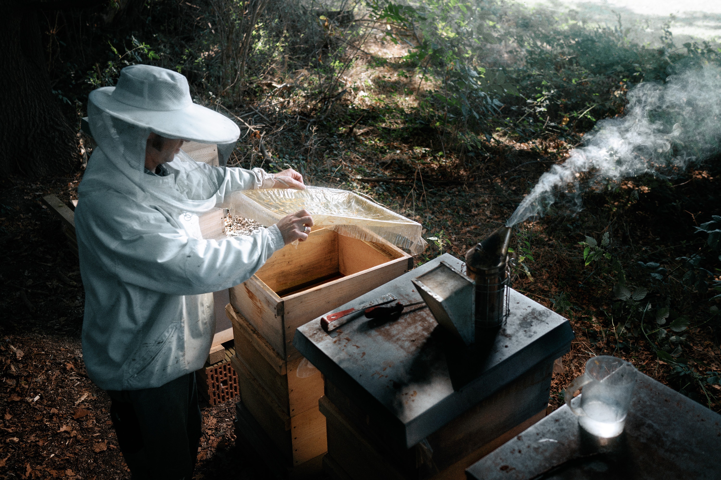 Friedemann Hertrampf Photography