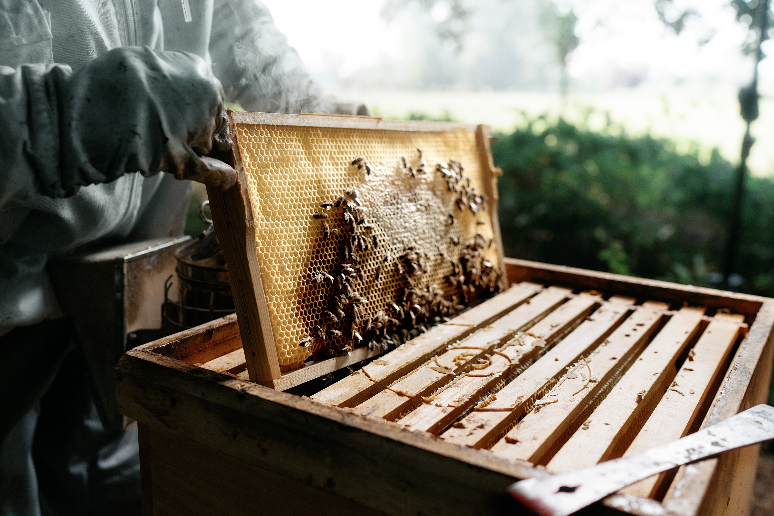 Friedemann Hertrampf Photography