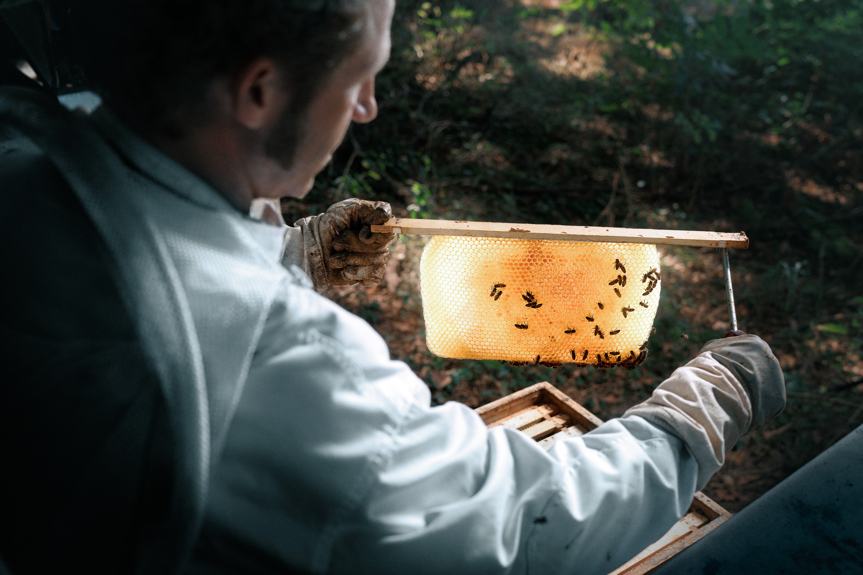 Friedemann Hertrampf Photography