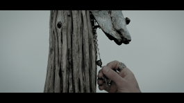 Friedemann Hertrampf Photography