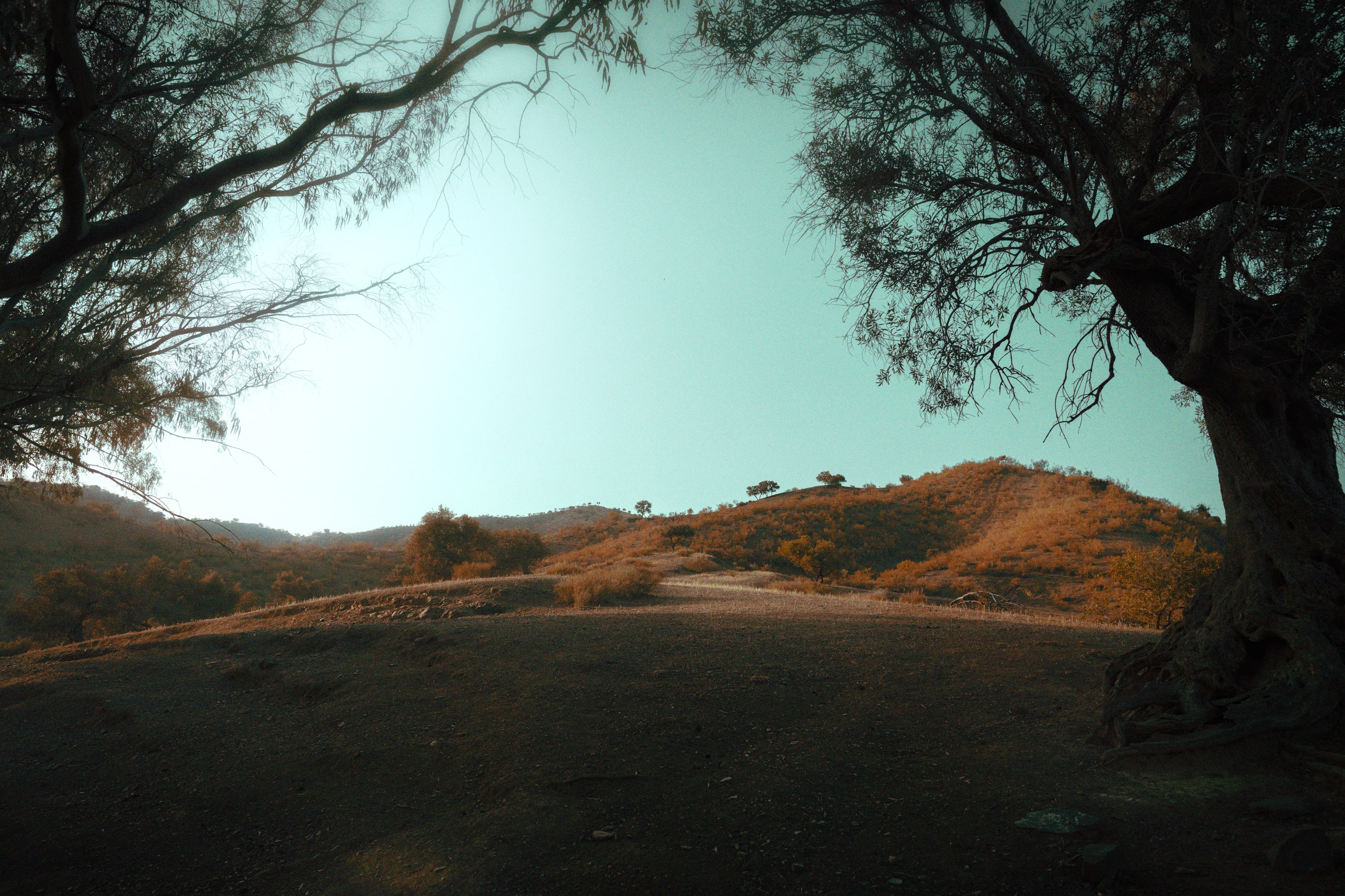 Friedemann Hertrampf Photography